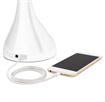 Creative Curves LED Desk Lamp