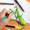 Mont Marte - Permanent Markers 12pc