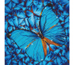 Diamond Dotz Flutter by Blue
