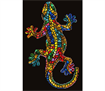 Gekko Paua