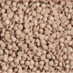 DIAMOND DOTZ - Freestyle 12g x 2.8mm Dotz light clay