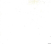 Poplin Polycotton 44  Width - 25 bone ivory