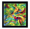 Lorikeets Aloft A - 8 Block Panel