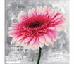 No Count Cross Stitch - Printed Aida 11 - pink dahlia