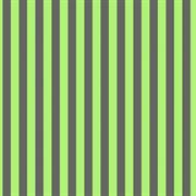 Tula Pink Tent Stripes - KARMA