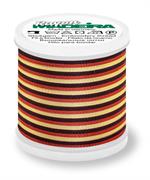 Rayon 40 200M Multi-Color - 2054