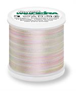 Rayon 40 200M Multi-Color - 2101