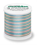Rayon 40 200M Multi-Color - 2103