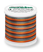 Rayon 40 200M Multi-Color - 2144