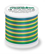 Rayon 40 200M Multi-Color - 2146