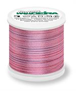 Rayon 40 200M Potpourri - 2305