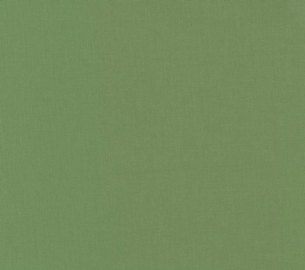 Moda - Bella Solids - Prairie Green 9900 102 Moda No.1