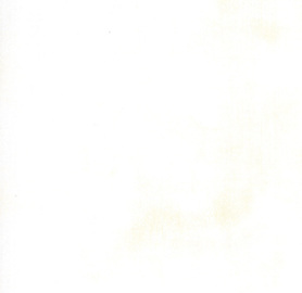 Moda - Grunge Basics - Composition White (30150-356)