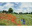 DIAMOND DOTZ - Poppy Fields (Apres Monet) - 66 x 50cm (26  x 19.7 )