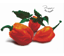 Diamond Dotz Pepper Bon Appetit - 30.5 x 30.5cm (12 x 12in)