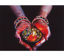 Diamond Dotz Peaceful Offering 45.72 x 35.5cm (18 x 14in)
