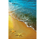 DIAMOND DOTZ - Summer Dreams - 29.5 x 41.5cm (11.6 x 16.3 in)