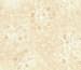 Patterns - Flutter - Tone On Tone 100% Cotton Printed Fabric - 02 cream