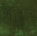 Moda - Grunge Basics - Forest