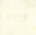 Moda - Grunge Basics - Winter White