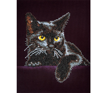 Diamond Dotz Midnight Cat 27.9 x 35.5cm (11 x 14in)