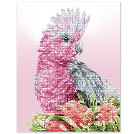 DIAMOND DOTZ - Pink Galah And Banksia 51 x 41cm