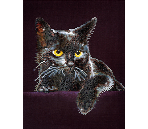 Diamond Dotz Midnight Cat 27.9 x 35.5cm (11 x 14in)