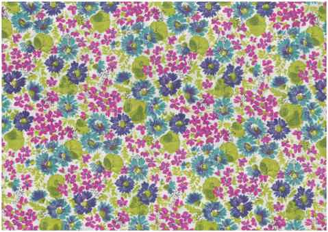 Cotton Sheeting Printed - Raspberry
