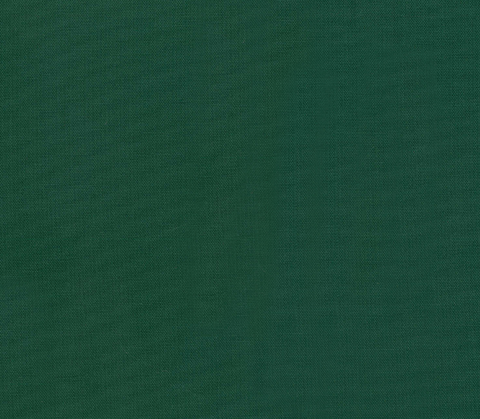 Cotton Canvas 58” Wide - Forest
