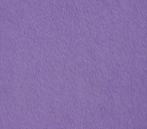 Minky - Fleece - Purple