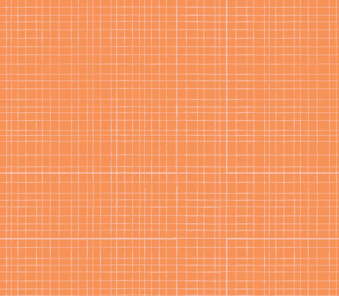 Camelot Mixology - Woven - Orange Soda