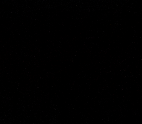 Jet Black Flannelette 100% Cotton Dyed, Low Loft 150cm - Black