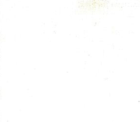 Poplin Polycotton - 80% Polyester & 20% Cotton - 44" (width) - 25 bone ivory