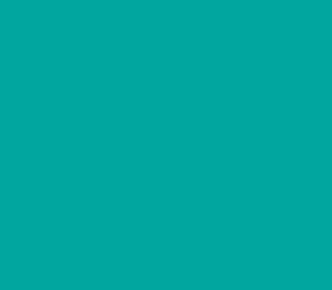 Sew Easy Value Homespun - Aqua