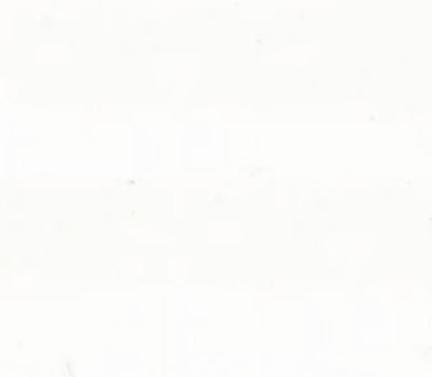 Quilters Muslin - White