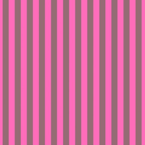 Tula Pink Tent Stripes - COSMIC