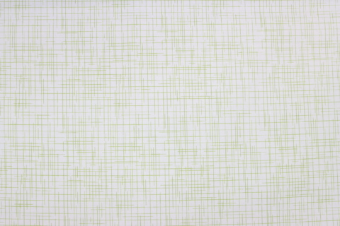 Riley Blake Printed Cotton - Grid Green 112cm