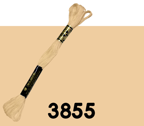 DMC Stranded Cotton 3855
